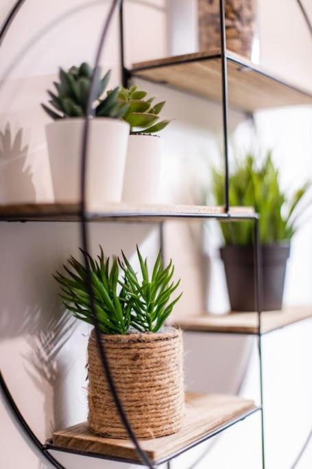 Forest Chic : Maison San Marina Apartment Parmain Luaran gambar